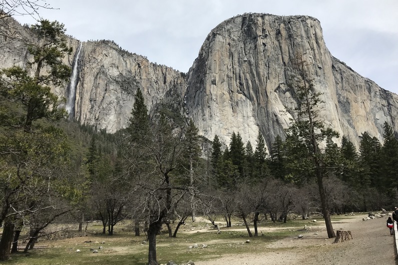 USA Yosemity El Capitan with Ribbon Fall