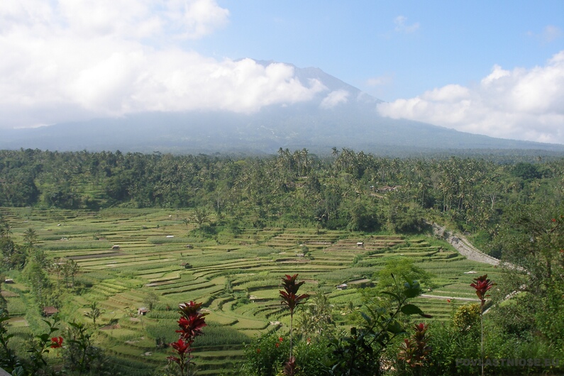 Bali 16