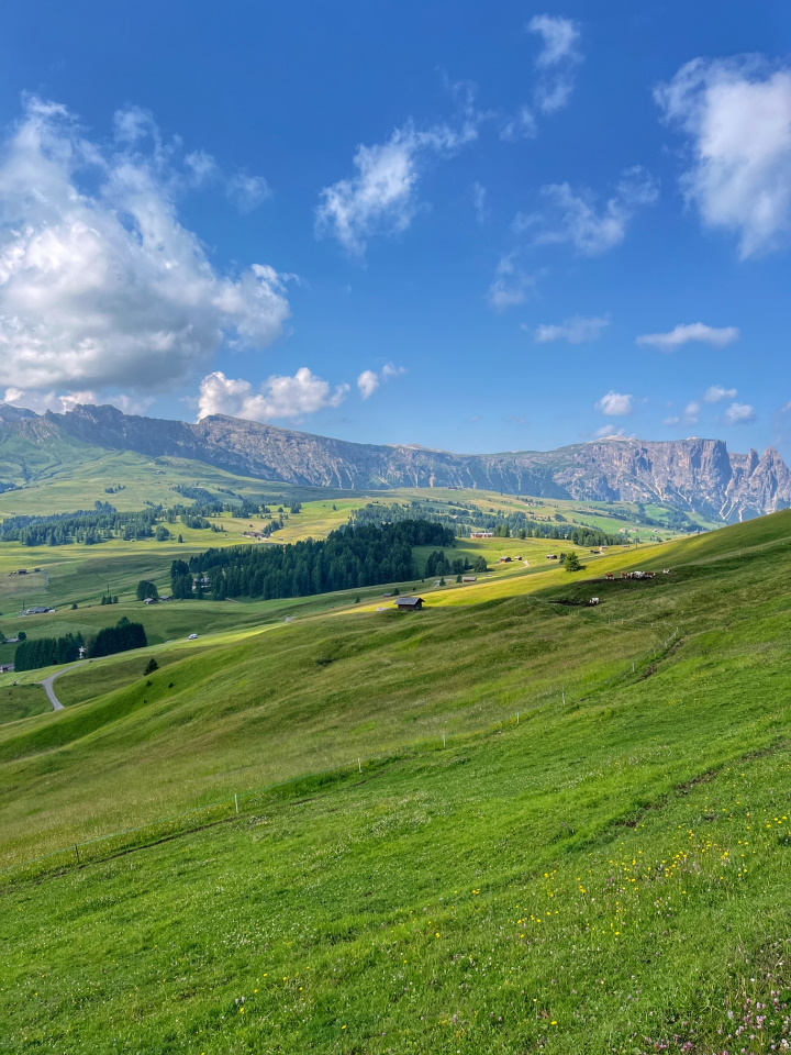 Dolomity Alpe di Siusi